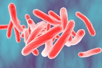 photo of TB virus