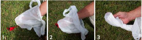 image of actions to take to dispose of dead bird